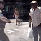Officer Cynthia Whitlatch, 48, was fired after she claimed 69-year-old William Wingate tried to hit her with a golf club he was using as a cane. Dash-cam footage of the arrest didn’t show Wingate using the club as a weapon.
YouTube screenshot